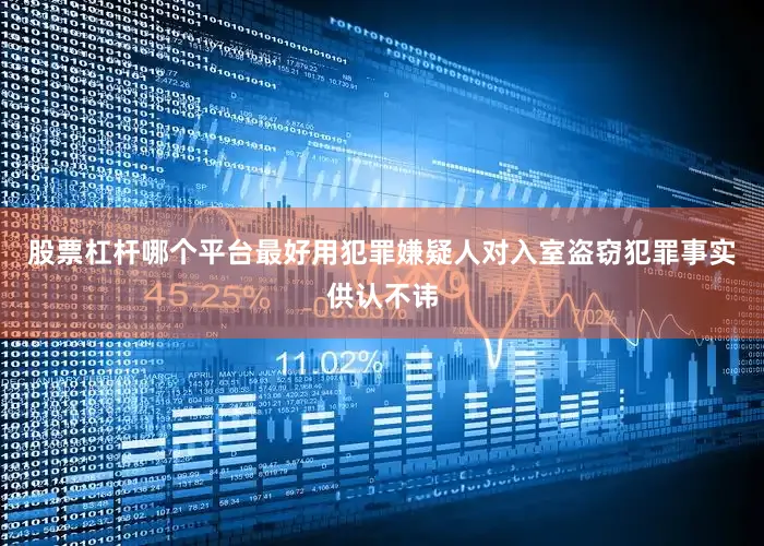股票杠杆哪个平台最好用犯罪嫌疑人对入室盗窃犯罪事实供认不讳