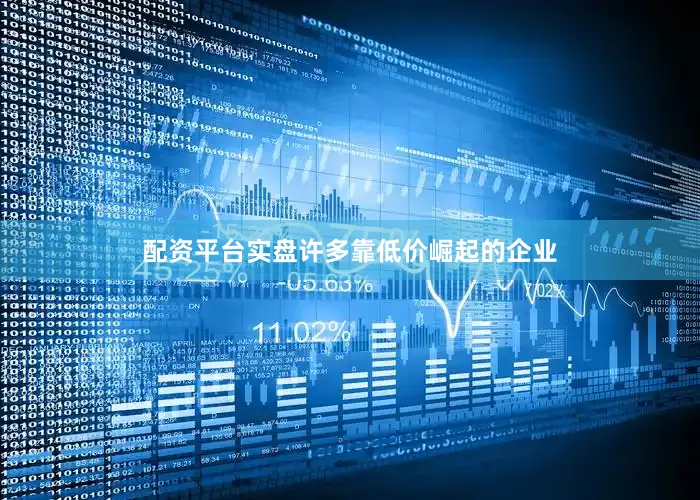 配资平台实盘许多靠低价崛起的企业