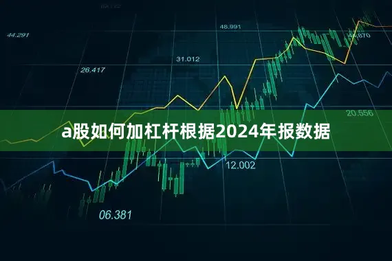 a股如何加杠杆根据2024年报数据