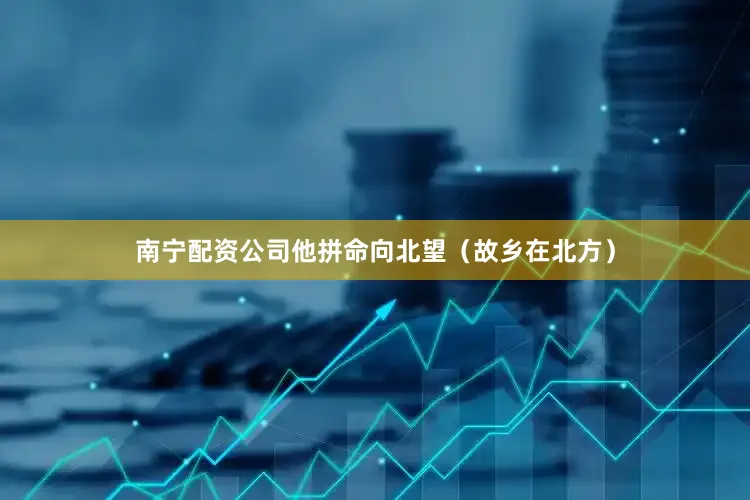 南宁配资公司他拼命向北望（故乡在北方）